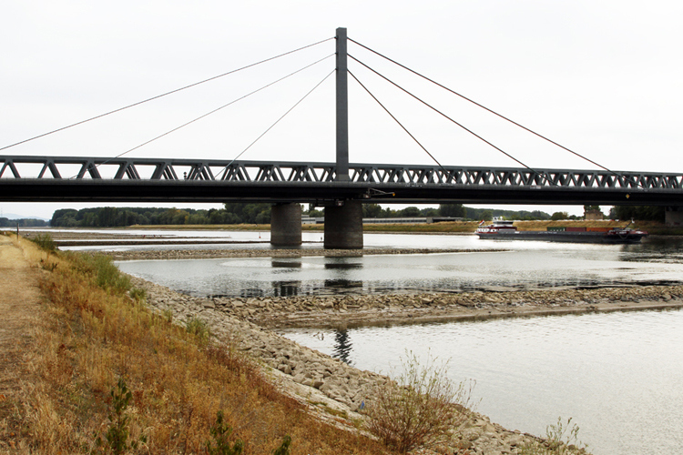 Brücke über einen breiten Fluss mit Schiffen und Uferpflanzen im Vordergrund.